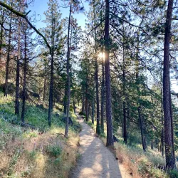 Tubbs Hill Nature Trails - Coeur d'Alene
