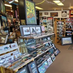 Driggs Art Gallery - Driggs