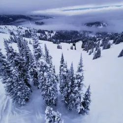 Grand Targhee Resort - Driggs