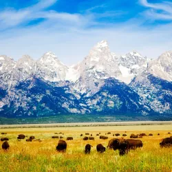 Grand Teton National Park - Driggs