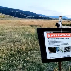 Kelly Warm Springs - Driggs