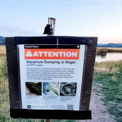 Kelly Warm Springs - Driggs