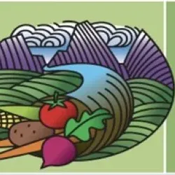 Teton Valley Farmers Market - Driggs