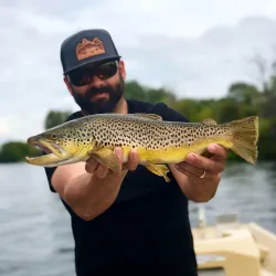 Teton Valley Fly Fishing - Driggs