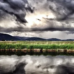 Teton Valley Fly Fishing - Driggs
