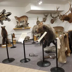 Teton Valley Historical Museum - Driggs