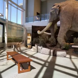 Museum of Idaho - Idaho Falls