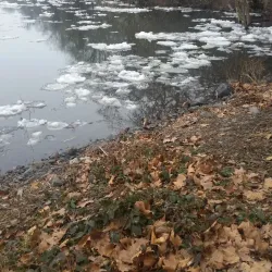 Clarkston Riverside Park - Lewiston