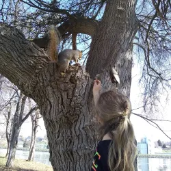 Clarkston Riverside Park - Lewiston