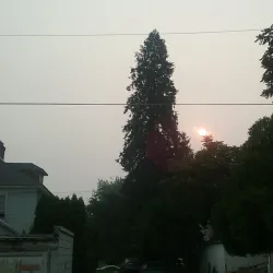 Lewiston Trolley - Lewiston