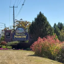 Downtown Moscow - Moscow