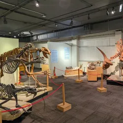 Idaho Museum of Natural History - Moscow