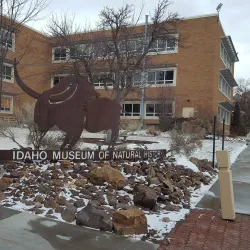 Idaho Museum of Natural History - Moscow