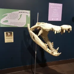 Idaho Museum of Natural History - Moscow