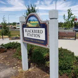 Latah Trail - Moscow