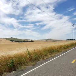 Latah Trail - Moscow