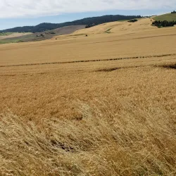 Latah Trail - Moscow