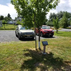 Latah Trail - Moscow