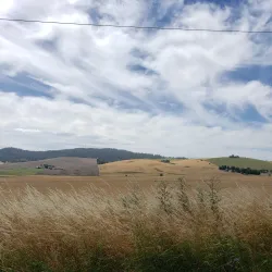 Latah Trail - Moscow