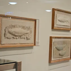 Moscow Art Center - Moscow