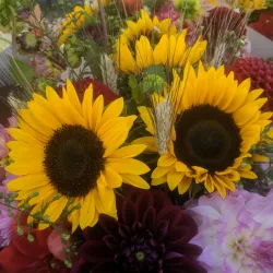 Moscow Farmers Market - Moscow