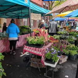 Moscow Farmers Market - Moscow