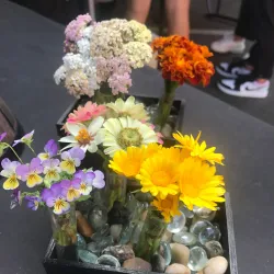 Moscow Farmers Market - Moscow