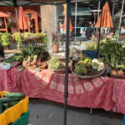 Moscow Farmers Market - Moscow