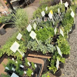 Moscow Farmers Market - Moscow