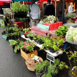 Moscow Farmers Market - Moscow