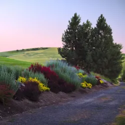 University of Idaho Arboretum and Botanical Garden - Moscow