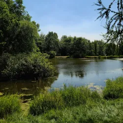 University of Idaho Arboretum and Botanical Garden - Moscow