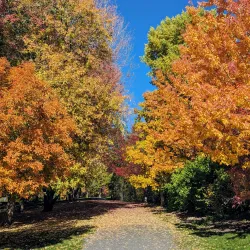 University of Idaho Arboretum and Botanical Garden - Moscow