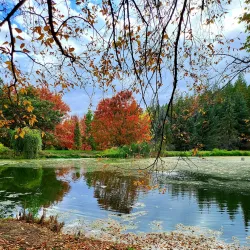 University of Idaho Arboretum and Botanical Garden - Moscow