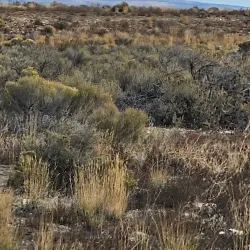Boise National Forest - Mountain Home