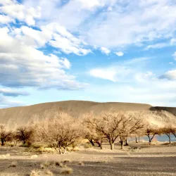 Bruneau Dunes State Park - Mountain Home