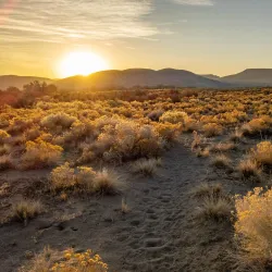 Bruneau Dunes State Park - Mountain Home