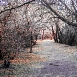 Bruneau Dunes State Park - Mountain Home