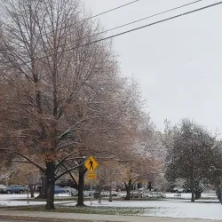 Pioneer Cemetery - Mountain Home