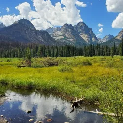 Sawtooth National Forest - Mountain Home