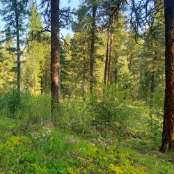 Snake River - Mountain Home