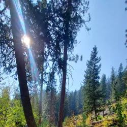 Snake River - Mountain Home