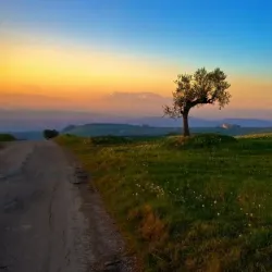Snake River - Mountain Home