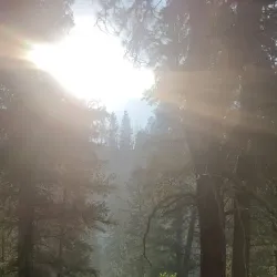 Snake River - Mountain Home