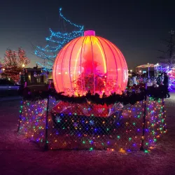 Indian Creek Plaza - Nampa