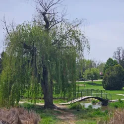 Lakeview Park - Nampa