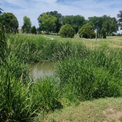 Lakeview Park - Nampa
