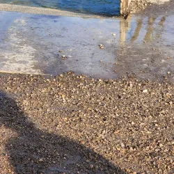 Nampa Dog Park - Nampa