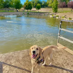 Nampa Dog Park - Nampa