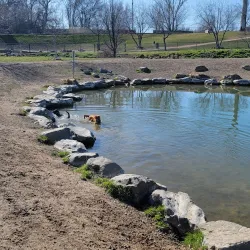 Nampa Dog Park - Nampa